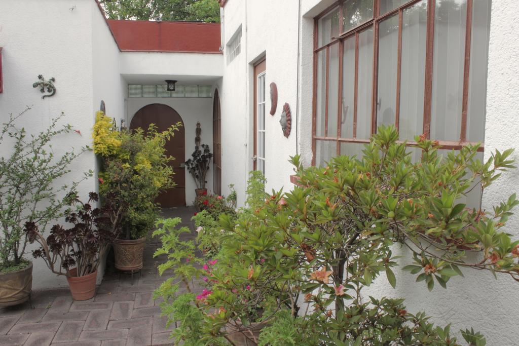 Corazoncito Coyoacan One Mexico City Ngoại thất bức ảnh