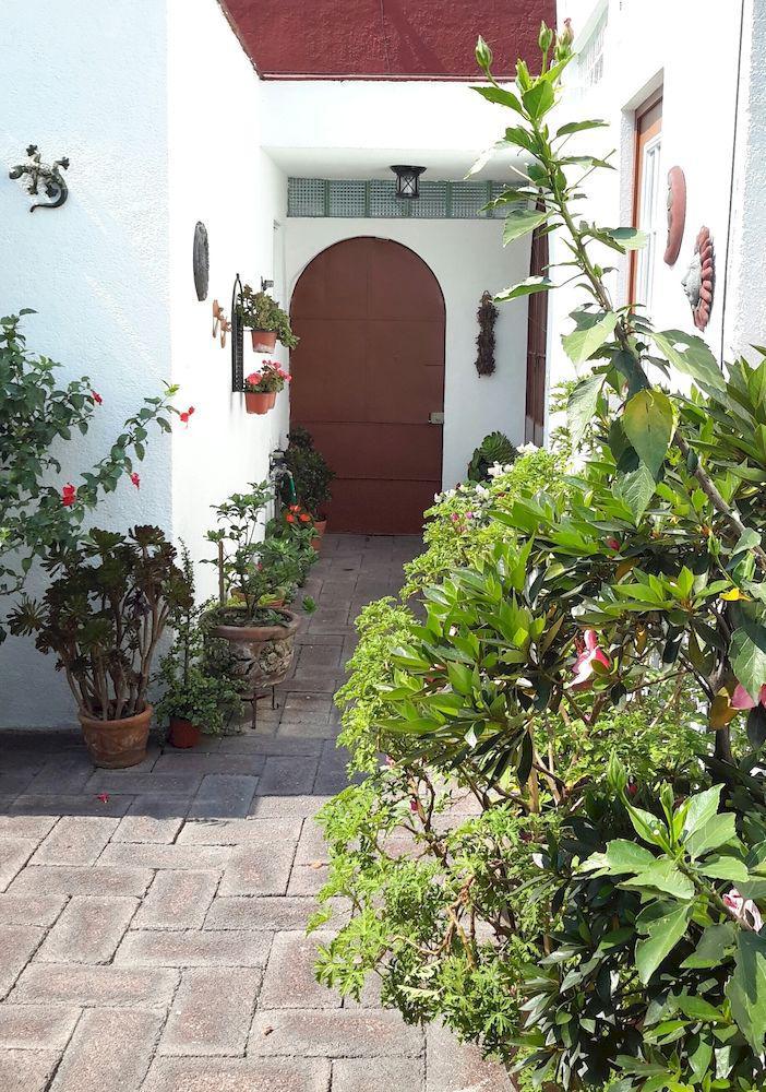 Corazoncito Coyoacan One Mexico City Ngoại thất bức ảnh